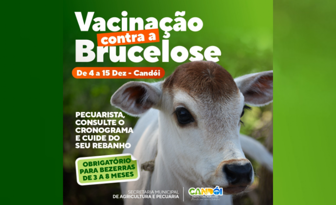 Candói realiza mais uma etapa de vacinação contra brucelose