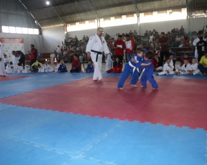 img8011.jpg