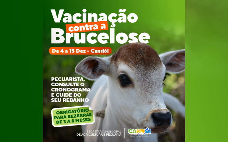 Candói realiza mais uma etapa de vacinação contra brucelose